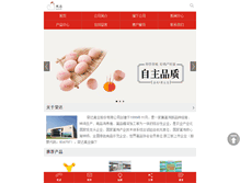 Tablet Screenshot of fengdaegg.com